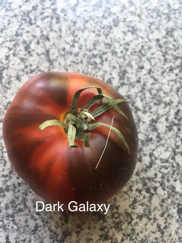 Tomaten: - dark galaxy