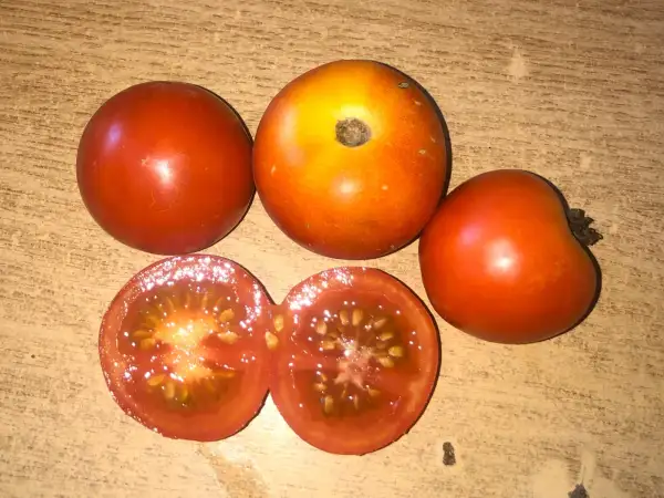 Tomaten: Überreich