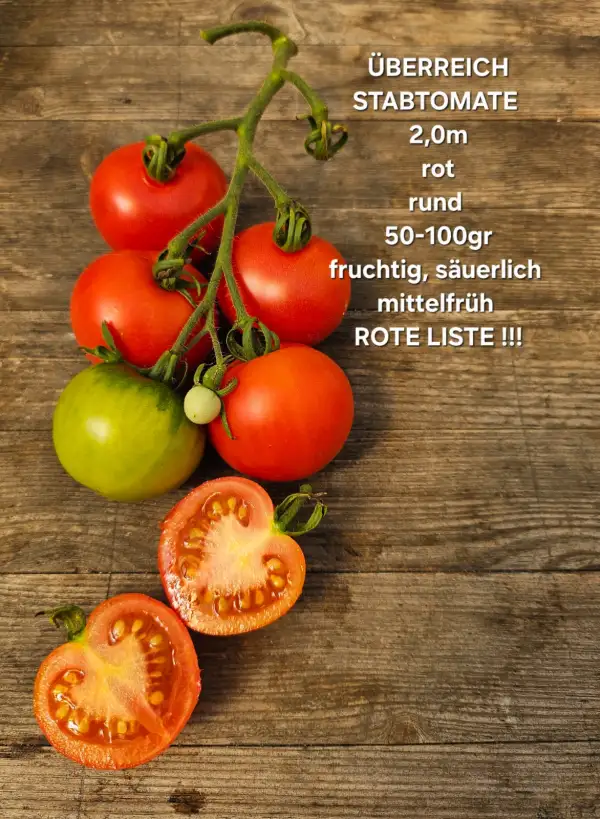 Tomaten: Überreich