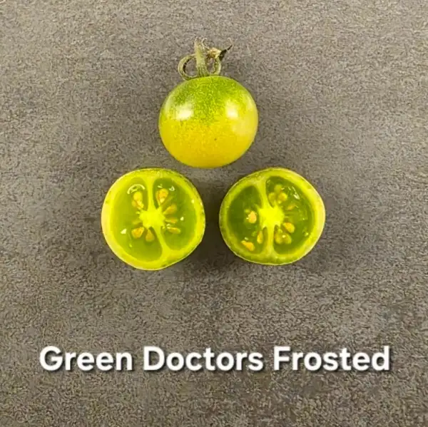 Tomaten: * Green Dr. frosted