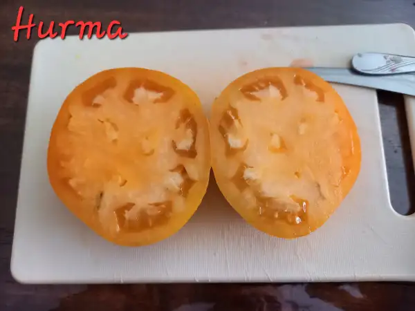 Tomaten: Хурма/Hurma