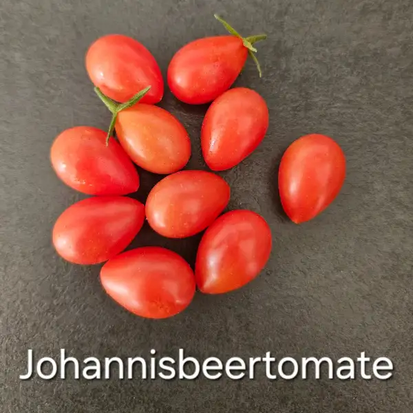 Tomaten: * Johannisbeertomate