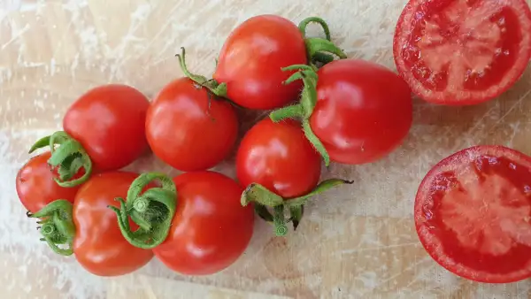 Tomaten: -Maskotka ( Masskotchen ) - 60cm