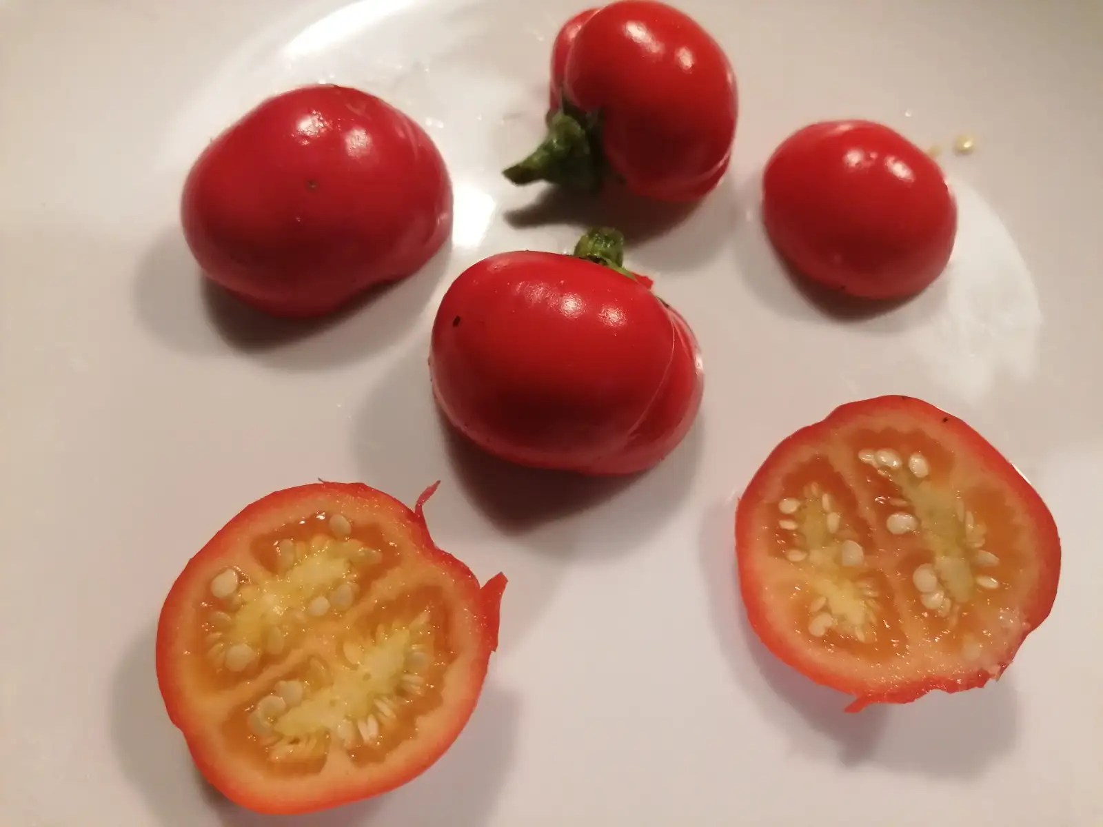 Tomaten: "Menschenfresser" Tomate