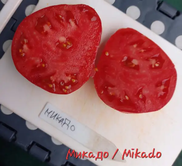 Tomaten: Микадо/Mikado