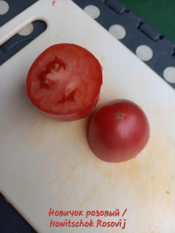 Tomaten: Новичок розовый/ Nowitschok Rosowij