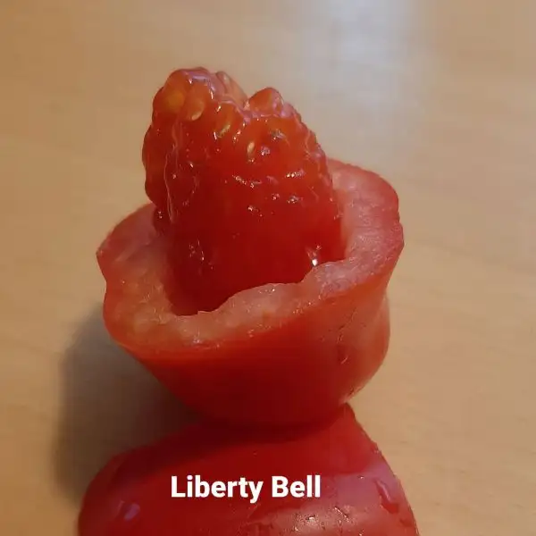 Tomaten: "Rote Erdbeere" (Liberty Bell)