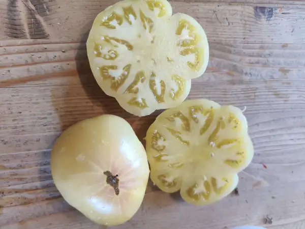 Tomaten: " Shah Mikado White"