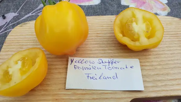 Tomaten: -Yellow Stuffer - Freiland