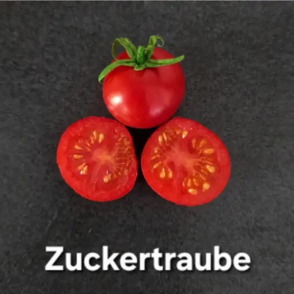 Tomaten: * Zuckertraube