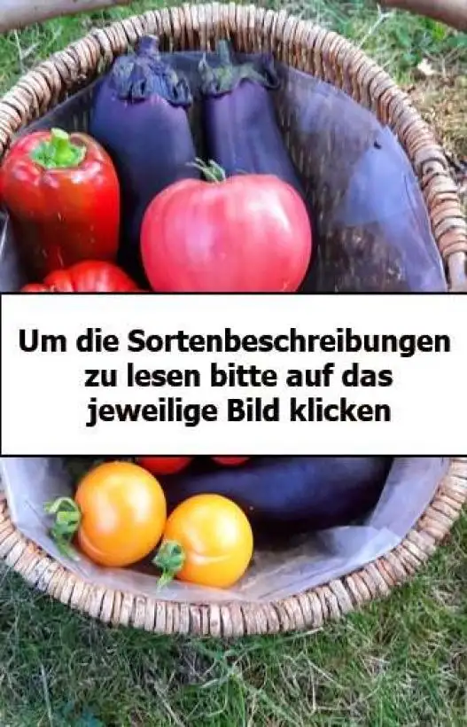 Tomaten: 1