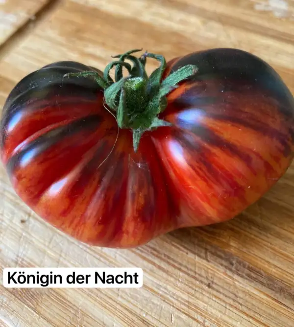 Tomaten: 10. Königin der Nacht