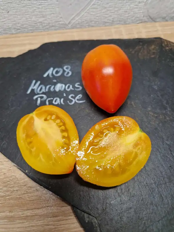 Tomaten: 108 Marinas Praise