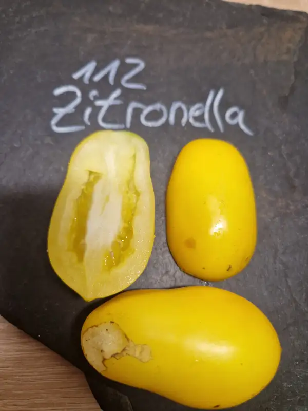Tomaten: 112 Zitronella