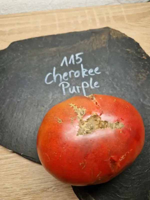 Tomaten: 115 Cherokee Purple