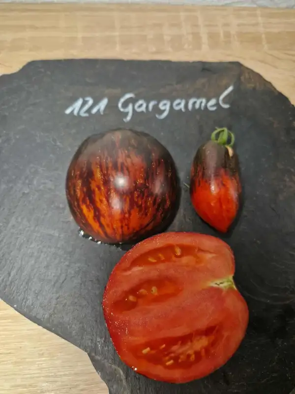 Tomaten: 121 Gargamel