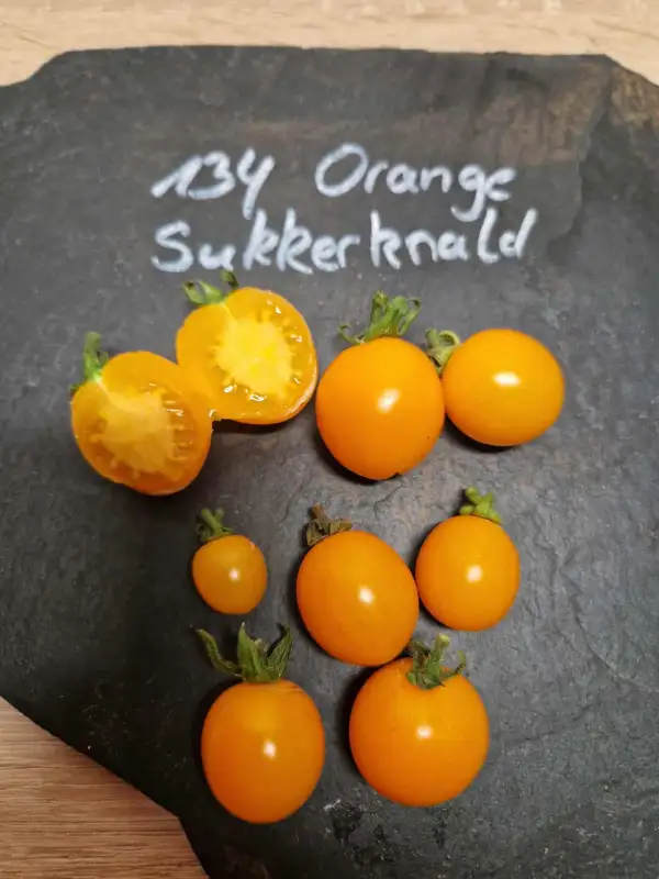 Tomaten: 134 Orange Sukkernald