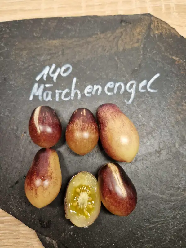 Tomaten: 140 Märchenglanz