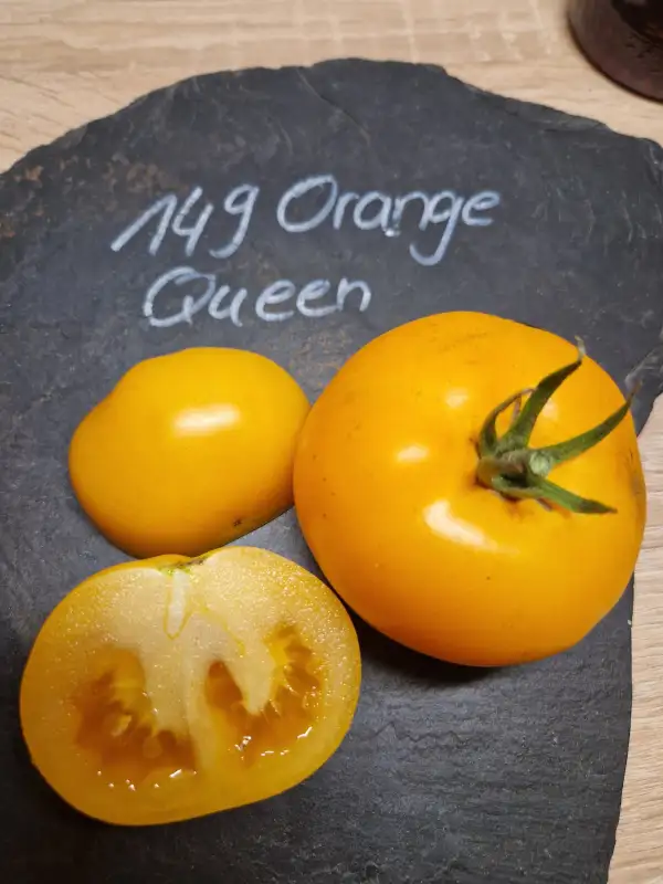 Tomaten: 149 Orange Queen