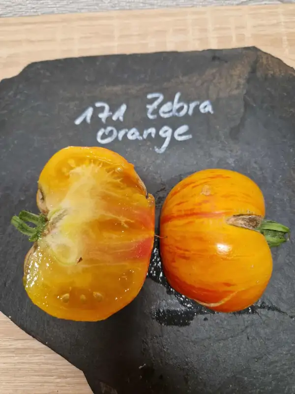 Tomaten: 171 Zebra Orange