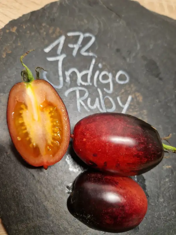 Tomaten: 172 Indigo Ruby