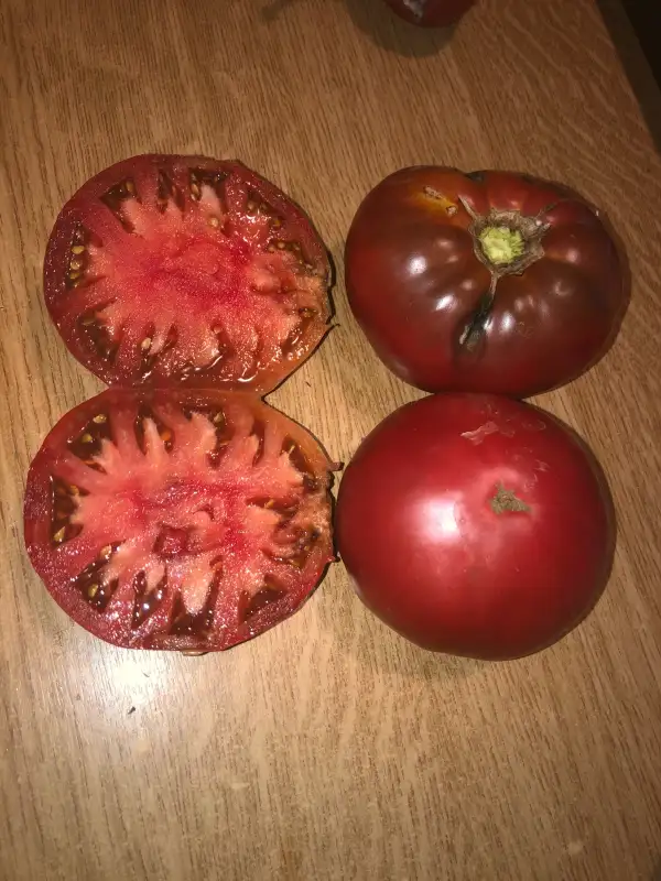 Tomaten: 1884 Purple