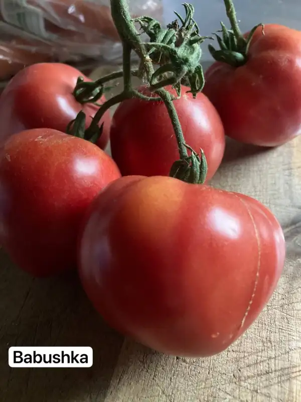 Tomaten: 23. Babuschka