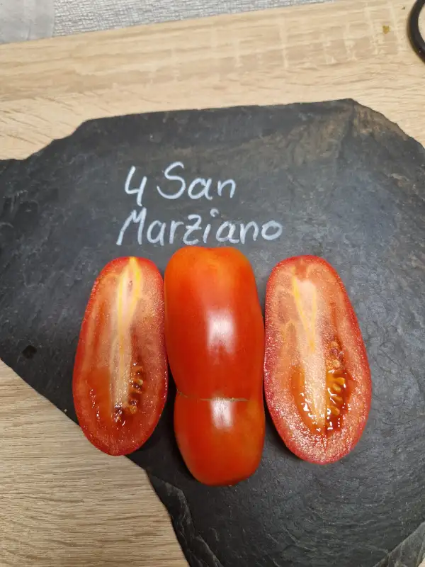 Tomaten: 4 San Marziano