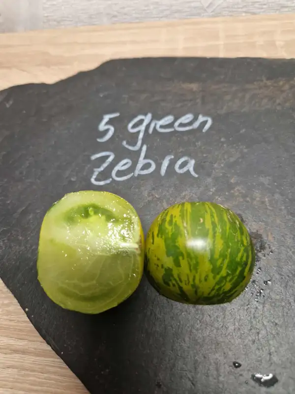 Tomaten: 5 Green Zebra