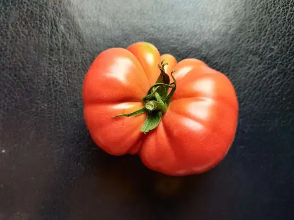 Tomaten: 646