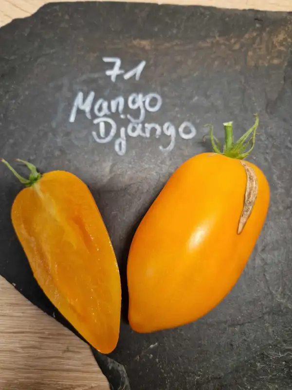 Tomaten: 71 Mango Django