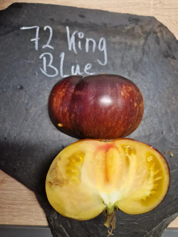 Tomaten: 72 King Blue
