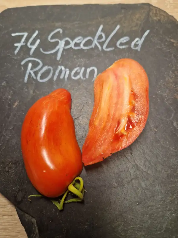 Tomaten: 74 Speckled Roman