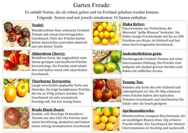 Tomaten: 8 robuste Sorten für den Garten, Freiland-geeignet - Secret Seeds