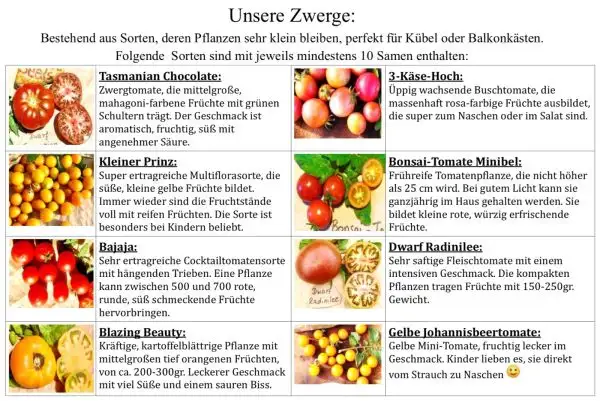Tomaten: 8 Sorten Dwarf / Zwergtomaten - Secret Seeds