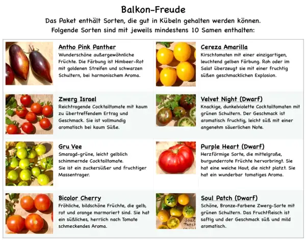 Tomaten: 8 Sorten für den Balkon - Secret Seeds 2024