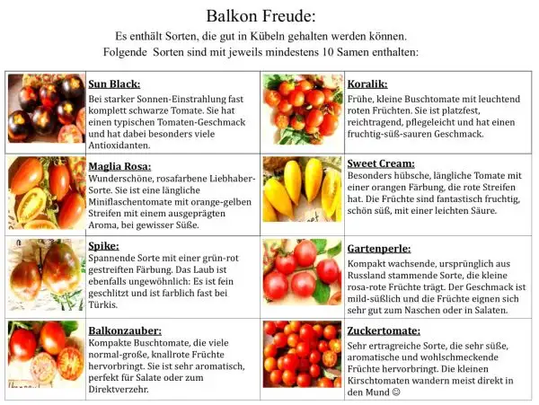 Tomaten: 8 Sorten für den Balkon - Secret Seeds