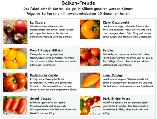 Tomaten: 8 Sorten für den Kübel im Balkon Freude Paket - Secret Seeds 2025