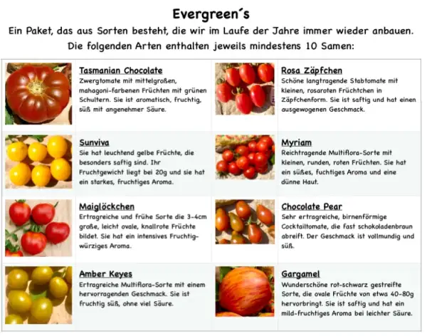 Tomaten: 8 unserer Lieblingssorten im Evergreens Paket - Secret Seeds 2025