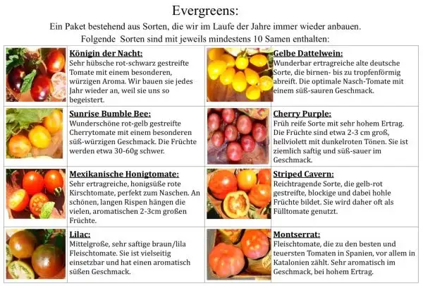 Tomaten: 8 unserer Lieblingssorten im Evergreens Paket - Secret Seeds