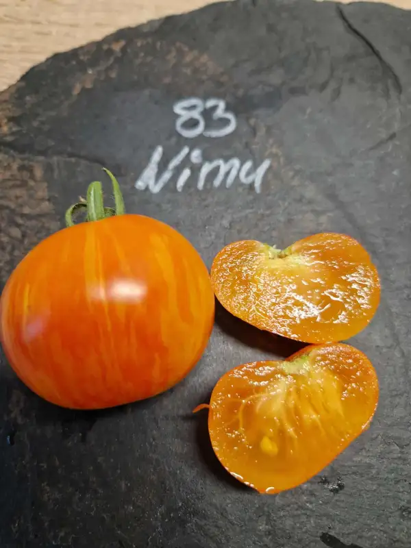 Tomaten: 83 Nimu
