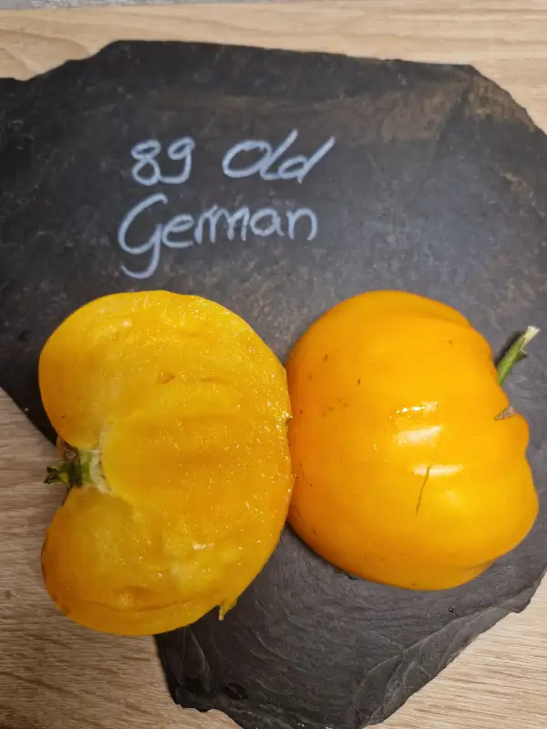 Tomaten: 89 Old German