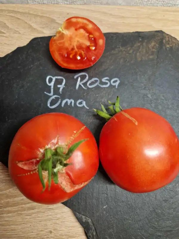 Tomaten: 97 Rosa Oma