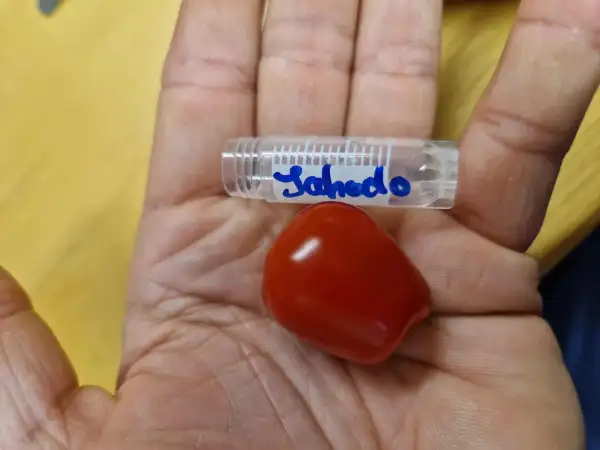 Tomaten: 98 Jahodo