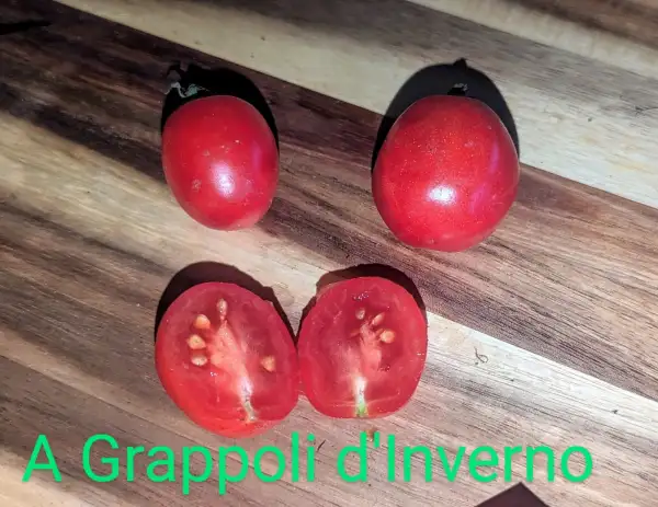 Tomaten: A grappoli D