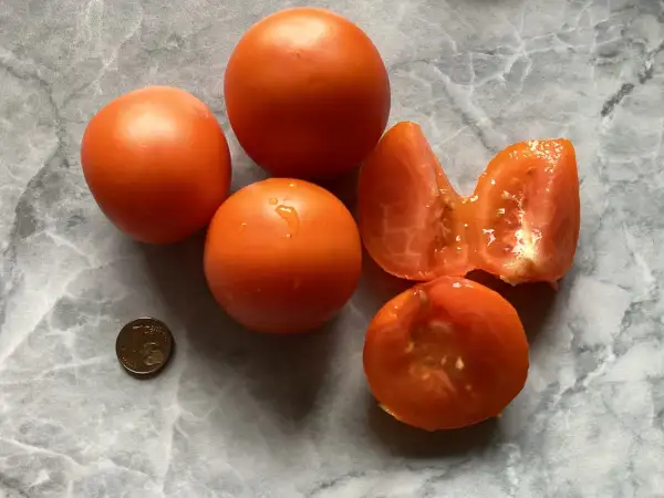 Tomaten: AAA sweet Solano