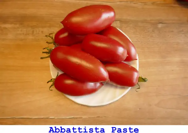 Tomaten: Abbattista Paste