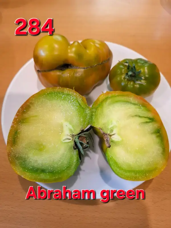 Tomaten: Abraham green