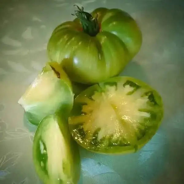 Tomaten: Absinthe