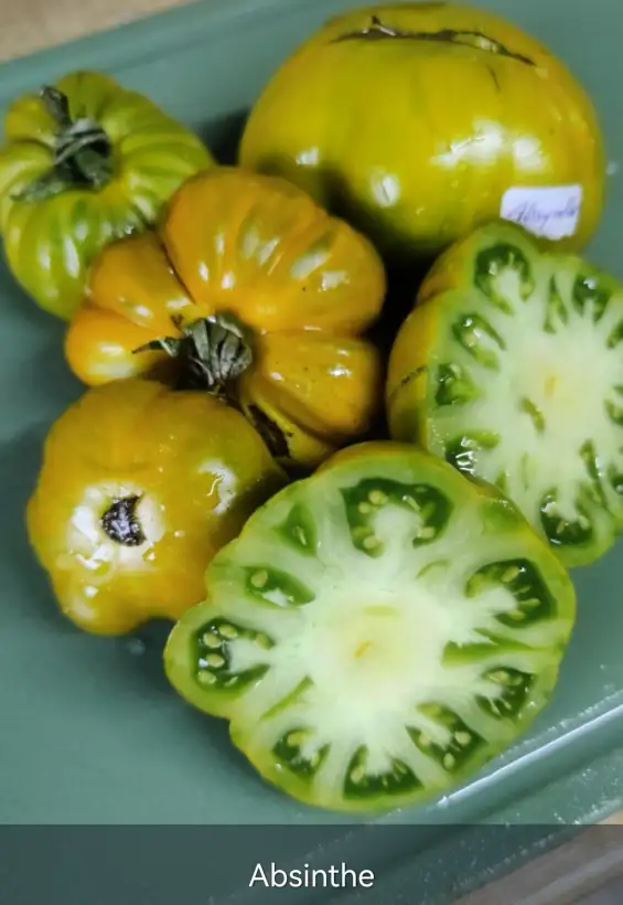 Tomaten: Absinthe